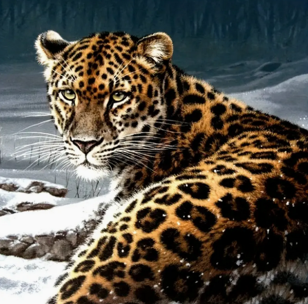Diamond Painting Raubkatze Leopard